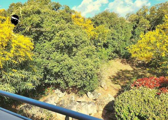 4 Pers Piscine Chauffee Acces A Pied A La Santa Giulia