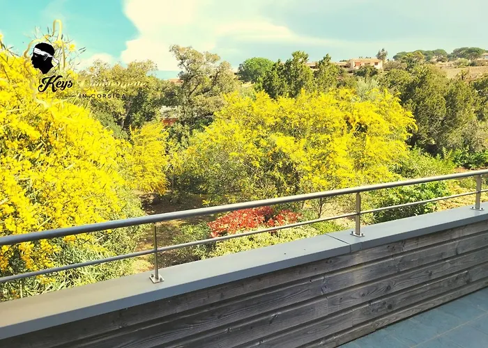 Daire 4 Pers Piscine Chauffee Acces A Pied A La Santa Giulia